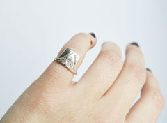 Silver Earth Ring On