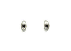 Silver Bright Eye Earrings